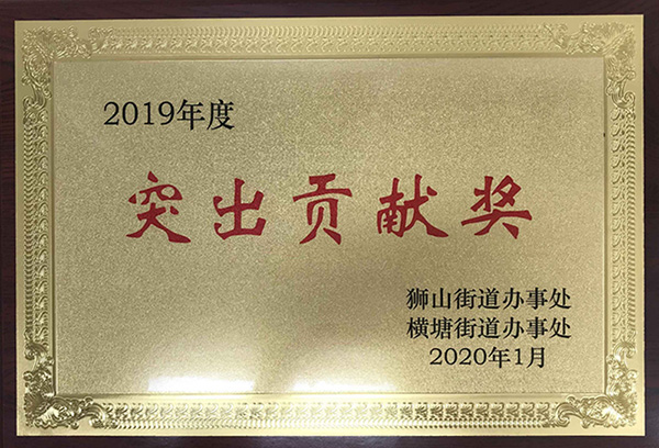 2019年度突出貢獻(xiàn)獎